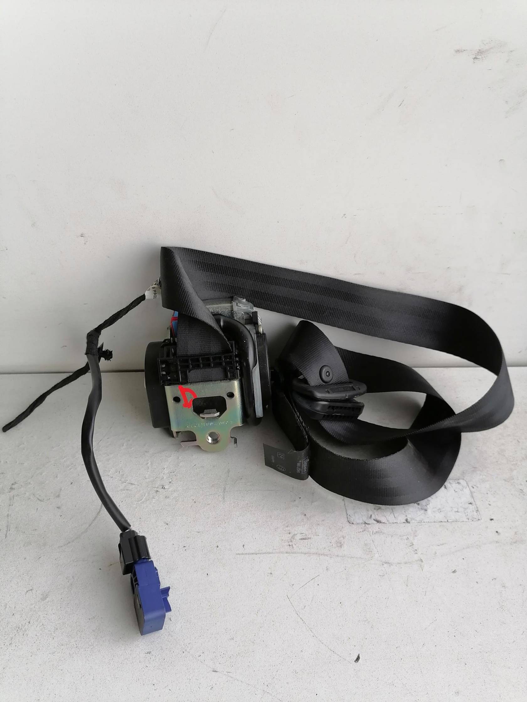 Cintura di sicurezza ant. dx.